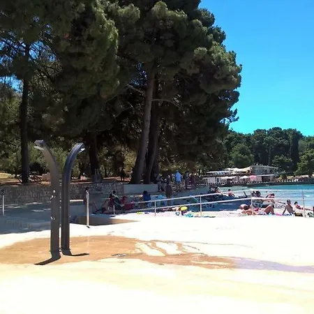 V Apartament *